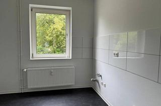 Wohnung mieten in Storchenkamp 23, 38226 Salzgitter, Ankommen & Wohlfühlen - renovierte 3-Zimmer-Wohnung im Erdgeschoss