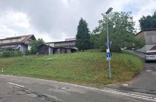 Grundstück zu kaufen in 69253 Heiligkreuzsteinach, Heiligkreuzsteinach - Unverbaubarer Blick über den Odenwald