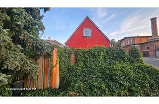 Einfamilienhaus kaufen in 39397 Gröningen, Gröningen - Haus zu verkaufen