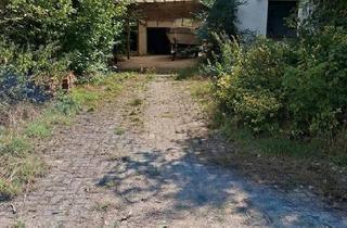 Einfamilienhaus kaufen in 27239 Twistringen, Twistringen - Einfamilienhaus in ruhiger Lage zum verwirklichen