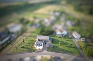 Haus kaufen in 54439 Saarburg, Saarburg - Wohnhaus und Nebengebäude auf außergewöhnlich großem Grundstück