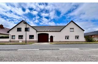 Einfamilienhaus kaufen in 04916 Herzberg, Herzberg (Elster) - Einfamilienhaus