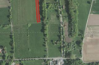 Grundstück zu kaufen in 32469 Petershagen, Petershagen - Acker- und Grünland in Petershagen, Ruschloh, Minden-Lübbecke