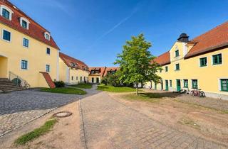 Wohnung kaufen in Zum Lehnsgut 11, 01665 Diera-Zehren, Attraktives Wohnungspaket auf historischem Gutshof in Diera
