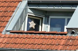 Wohnung kaufen in 33332 Gütersloh, Balkon mit Blick in die freie Landschaft - Gemütliche 2-ZKB-Dachgeschosswohnung in Gütersloh-Spexard