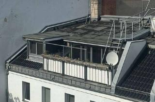 Wohnung kaufen in Thaerstraße 41, 10249 Friedrichshain, Über den Dächern Friedrichshains – Maisonette mit Dachterrasse & Kamin