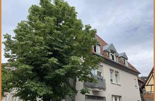 Wohnung mieten in 77736 Zell, Mitten in der Altstadt ! Gepflegte 2-Zimmer-Wohnung ab 1. November 2026 zu mieten.