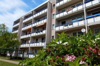 Wohnung mieten in Am Wiesengrund 49, 02828 Königshufen, Duschbad - 1. Stock - 2 Monate mietfrei!*