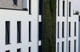 Wohnung mieten in Asbecker Str. 63, 58285 Gevelsberg, Neubau 4-Zimmer Wohnung im 1. OG mit Balkon in Gevelsberg
