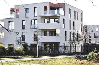 Penthouse mieten in Ursula-Wolfring-Straße 62, 90471 Langwasser, 2-Zimmer-Penthouse-Wohnung mit Einbauküche und Dachterrasse in Nürnberg-Langwasser NO