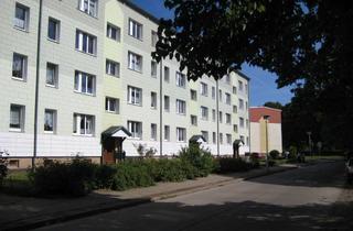 Wohnung mieten in Straße Der Jugend, 23999 Insel Poel, 3 Zi. Erdgeschoss auf der Insel Poel mit neuer EBK
