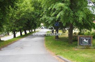 Wohnung mieten in Alte Dorfstraße 1D, 38723 Seesen, Schöne Wohnung auf dem Rittergut Kirchberg – ruhige Lage mit Blick auf den Gutshof