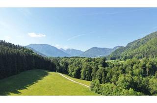 Haus kaufen in 83313 Siegsdorf, Natur Pur! Unverbaubare freie Lage mit Weitblick - Landhaus mit 2.600m² Grundstück - 3 Garagen