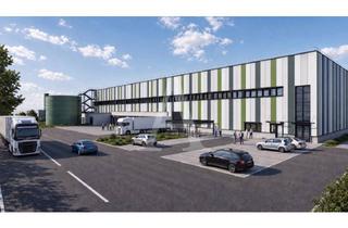 Gewerbeimmobilie mieten in 50170 Kerpen, *PROVISIONSFREI* LOGISTIKNEUBAU IN KERPEN | 24/7 | RAMPE & EBENERDIG | ANGERMANN NRW