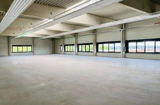 Gewerbeimmobilie mieten in 32758 Detmold, Moderne Hallenfläche im Detmolder Gewerbegebiet zu vermieten