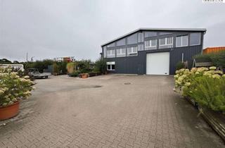 Büro zu mieten in 47229 Friemersheim, +++Moderne Lagerhalle mit Büroeinheiten und gepflasterter Außenfläche.+++