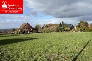 Grundstück zu kaufen in 31688 Nienstädt, attraktives Grundstück - teilbar in bis zu drei Parzellen