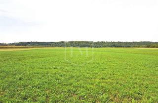 Immobilie kaufen in 86845 Großaitingen, Acker- und Grünland in Großaitingen im Landkreis Augsburg
