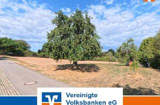 Gewerbeimmobilie kaufen in 71032 Böblingen, Landwirtschaftliche Fläche mit Obstbaumbestand in Böblingen - Gewann "Im First"
