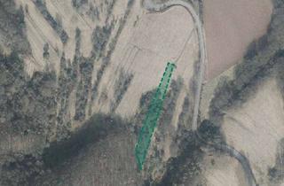 Gewerbeimmobilie kaufen in Siebengruben, 99830 Treffurt, Landwirtschaftsfläche in Treffurt