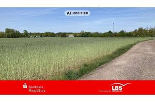 Gewerbeimmobilie kaufen in 39291 Schermen, Grünes Kapital: verpachtete Ackerfläche