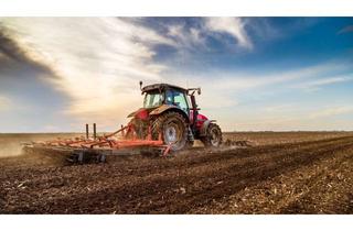 Gewerbeimmobilie kaufen in 06571 Roßleben, 20,7 ha Ackerland zu verkaufen