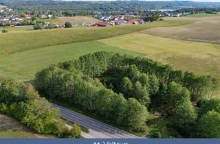Gewerbeimmobilie kaufen in 82229 Seefeld, FREIRAUM IM GRÜNEN: NATURVERBUNDENHEIT MIT RAUM FÜR EIGENE IDEEN.