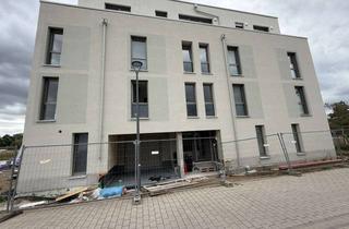 Wohnung mieten in Am Gottesauer Hof, 76297 Stutensee, Erstbezug | 4-Zimmer-Neubau mit Loggia, EBK & TG in Stutensee-Spöck