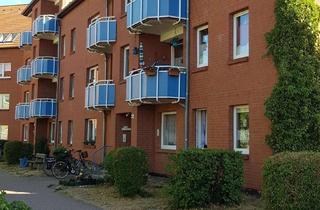 Wohnung mieten in Fritz-Reuter-Str. 32, 17159 Dargun, ⭐ Frisch renovierte Etagenwohnung mit Balkon