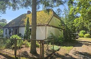 Einfamilienhaus kaufen in 19294 Gorlosen, Einfamilienhaus naturnah mit weitläufigem Gartencharakter