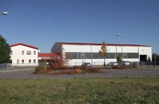Büro zu mieten in 04509 Krostitz, Gewerbeobjekt bei Leipzig (A14): Kranhalle, Büro, Wohnung, 9.000 m² Fläche