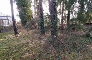 Grundstück zu kaufen in 30900 Wedemark, Bissendorf-Wietze einmalig attraktive Lage