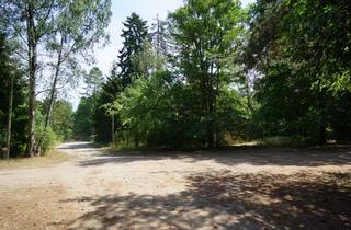 Grundstück zu kaufen in Erikaweg 54, 14822 Borkheide, Ein großes Grundstück mit Bauerwartung
