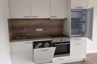 Wohnung mieten in Holunderweg 650, 38524 Sassenburg, 2-Zimmer-Apartment am Bernsteinsee | Erdgeschoss mit eigenem Gartenanteil