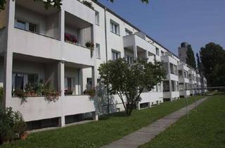 Wohnung mieten in Thomas-Muentzer-Str. 5B, 06231 Bad Dürrenberg, Wohnen ab 50 in ruhigem, grünen Umfeld