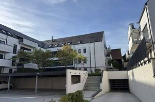 Wohnung mieten in Rappenauer Straße 11, 74206 Bad Wimpfen, Sehr helle, schöne Wohnung mit 96 m² in der Mitte von Bad Wimpfen