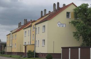 Wohnung mieten in Am Mariengarten, 39343 Hillersleben, Gemütliche Wohnanlage im Grünen