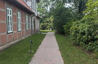 Wohnung mieten in Nortruper Straße 11, 49637 Menslage, Neuwertige 3ZKDB 2024 kernsaniert KfW55