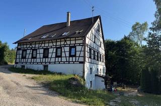 Gewerbeimmobilie kaufen in 72393 Burladingen, NEUE CHANCE: Oldiemühle 2.0 in Burladingen-Killer