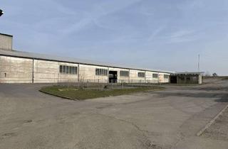 Gewerbeimmobilie kaufen in Schleizer Straße 21 a, 07806 Neustadt, Großzügige Gewerbefläche mit Lagerhallenbestand und Büro in Neustadt a. d. Orla