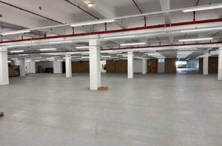 Gewerbeimmobilie mieten in 96317 Kronach, Ab 1500 qm (bis 10.000 qm) - Auch Kurzzeitmiete möglich - Moderne Logistik- und Lagerhallen mit Ramp