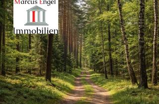 Anlageobjekt in 16248 Niederfinow, Großzügiges Waldgrundstück in naturnaher Lage von Niederfinow *Provisionsfrei für den Käufer*