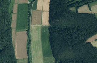 Gewerbeimmobilie kaufen in Am Buchenberge Und An Der Trift, 37276 Meinhard, Land- und Forstwirtschaftliche Flächen in Meinhard