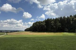 Gewerbeimmobilie kaufen in 86874 Tussenhausen, Grünland / Ackerland in Mattsies