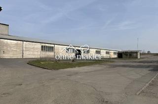 Gewerbeimmobilie kaufen in 07806 Neustadt, Großzügige Gewerbefläche mit Lagerhallenbestand und Büro in Neustadt a. d. Orla