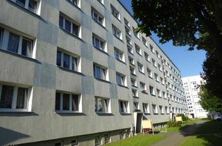 Wohnung mieten in Böhmische Str. 22, 02730 Ebersbach-Neugersdorf, Gemütliche 1-Raum-Wohnung – bezugsfertig