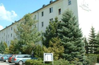 Wohnung mieten in Am Stadtpark 31, 04895 Falkenberg, Nachmieter gesucht!!
