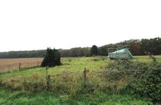 Grundstück zu kaufen in 68519 Viernheim, Viernheim: Landwirtschaftliche Fläche am Bandholzgraben zu verkaufen