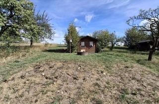 Grundstück zu kaufen in 72585 Riederich, Verkaufe Gartenhausgrundstück mit Gartenhaus