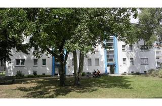 Wohnung mieten in Dietesheimer Straße 59, 63165 Mühlheim, 3 Zimmer Wohnung mit Balkon